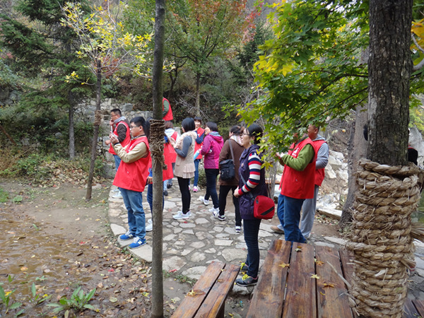 20141023093100692.jpg 20141023093100692.jpg